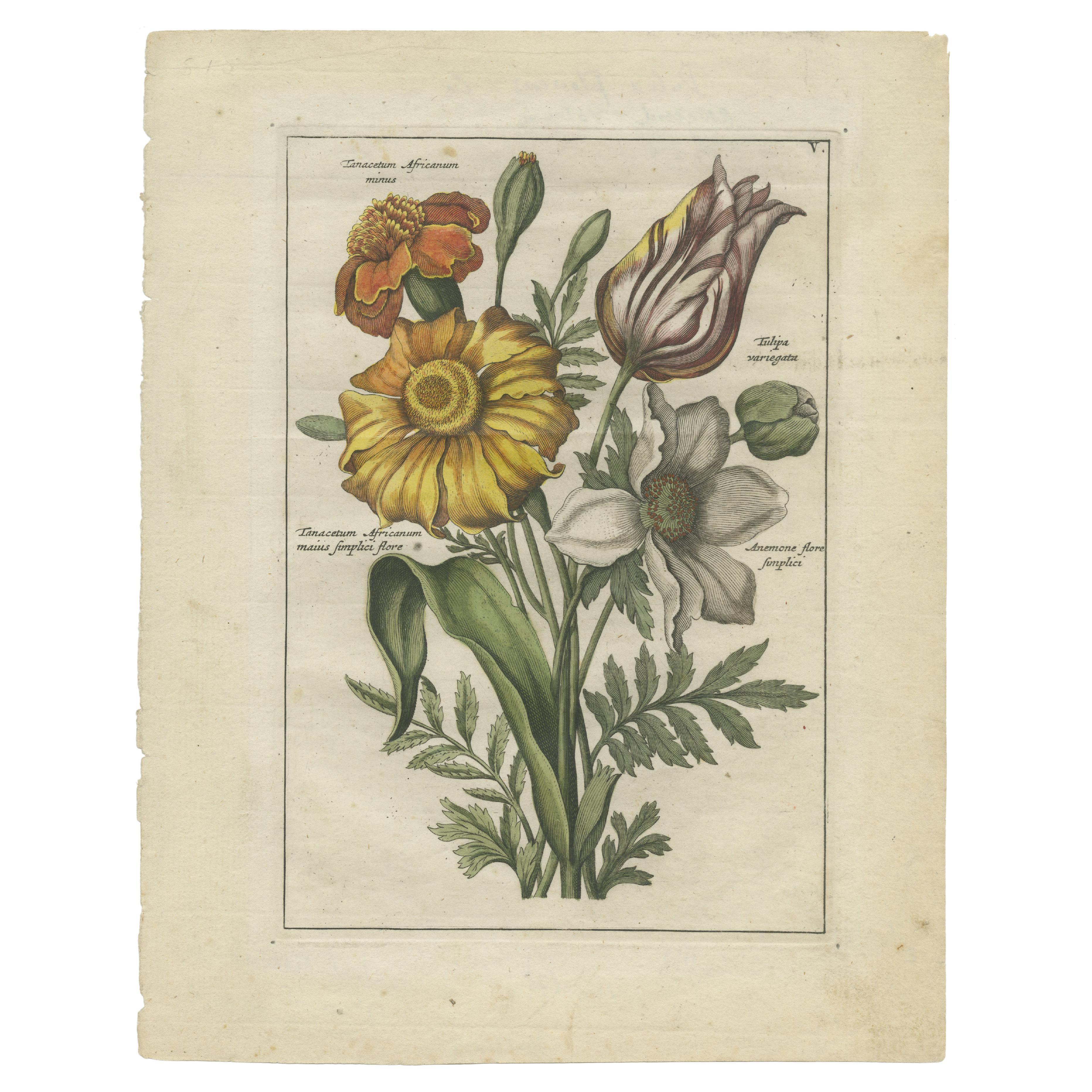 Impression ancienne d'un Bouquet avec Feverfew, Tulipe et Anémone par Elwe (1794)