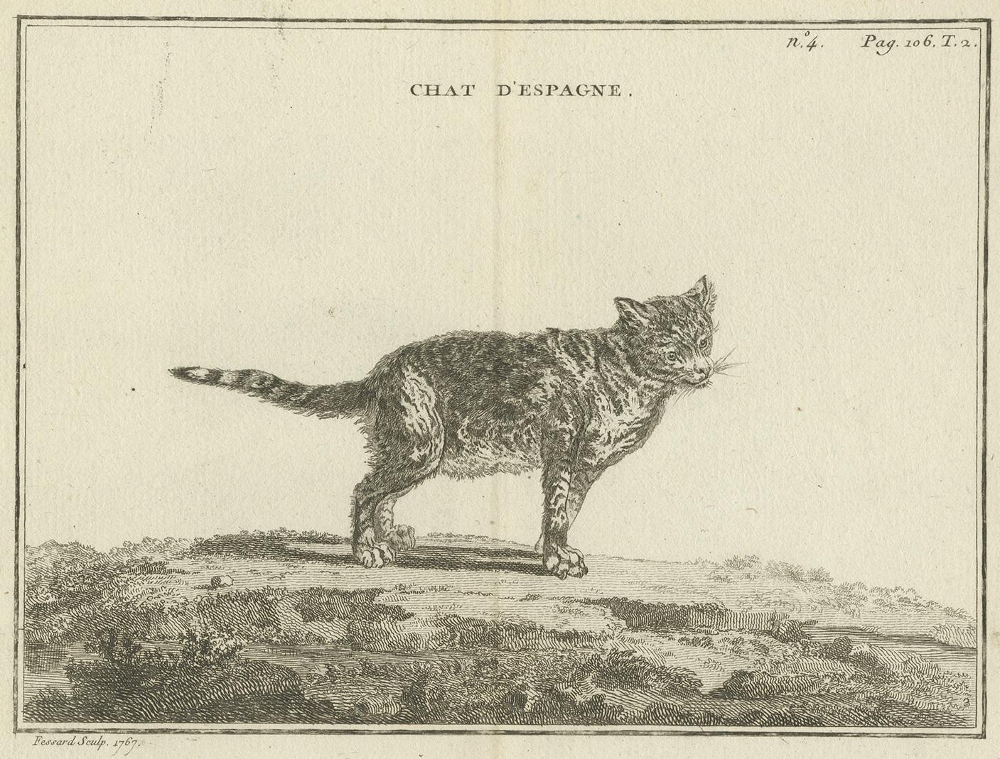 Antique print titled 'Chat d'Espgane'. Copper engraving of a Calico cat (?). This print originates from 'Handboek der genees- en verloskunde van het vee (..)' by A. Numan. Published by R.J. Schierbeek, 1819. Engraved by C. Fessard.