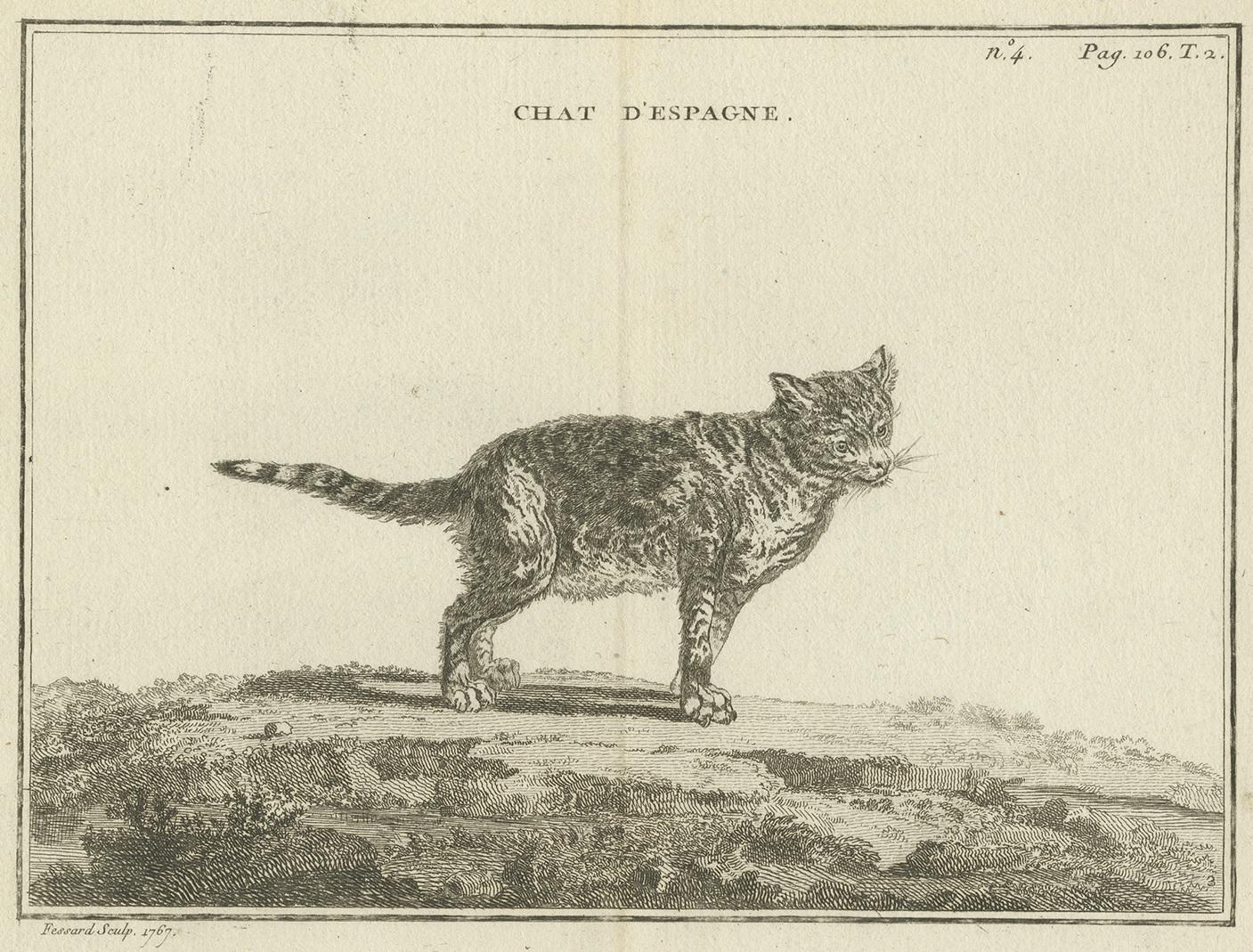 Grabado antiguo de un gato calicó de Fessard, 1819 en Bueno estado para la venta en Langweer, NL