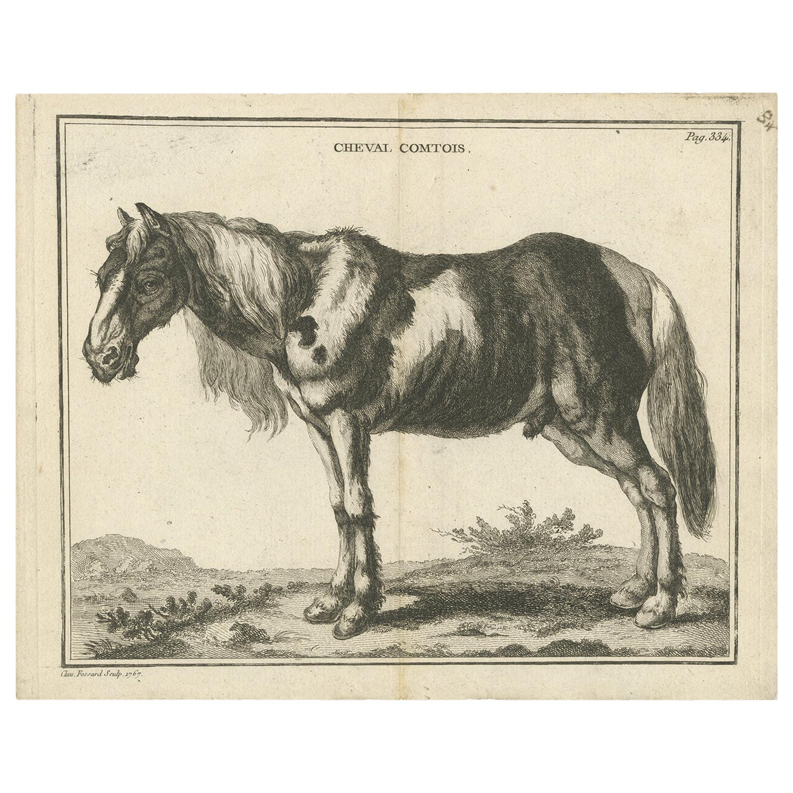 Antique Print of a Comtois Horse by Fessard, '1819' For Sale