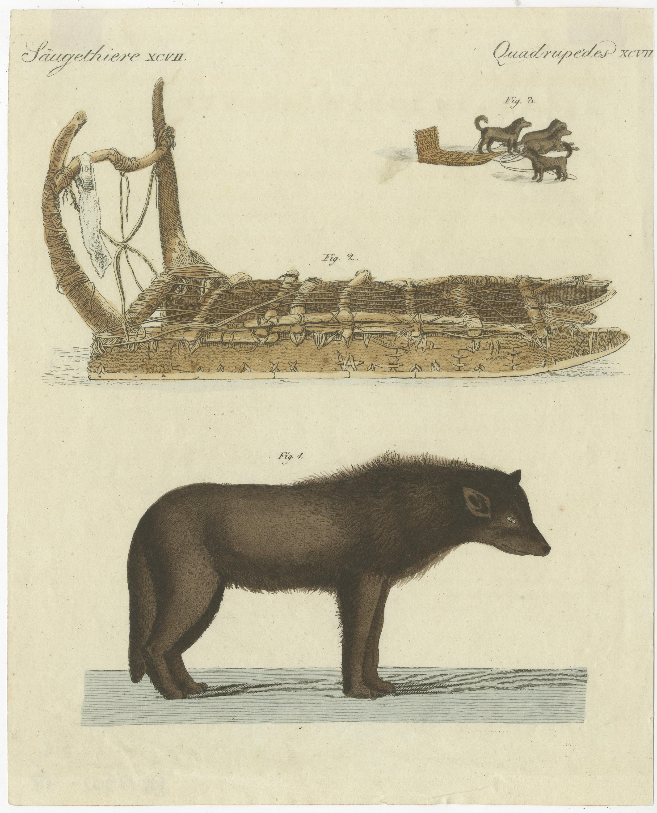 Antique print of a dog from Baffin Bay, located between Baffin Island and the west coast of Greenland. Top image shows a dog sled. This print originates from 'Bilderbuch fur Kinder' by F.J. Bertuch. Friedrich Johann Bertuch (1747-1822) was a German