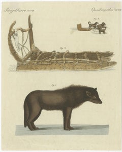 Antique Print of a Dog from Baffin Bay Greenland and a Dog Sled, ca.1800