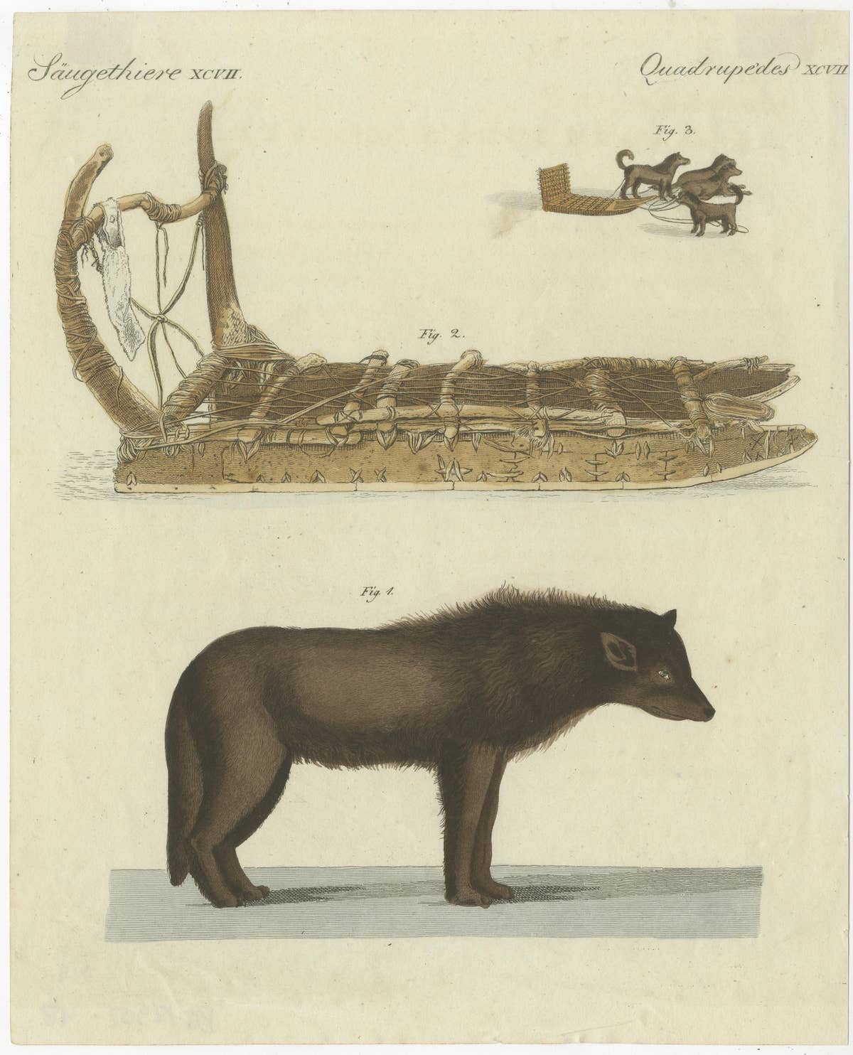 Antique Print of a Dog from Baffin Bay Greenland and a Dog Sled, ca.1800