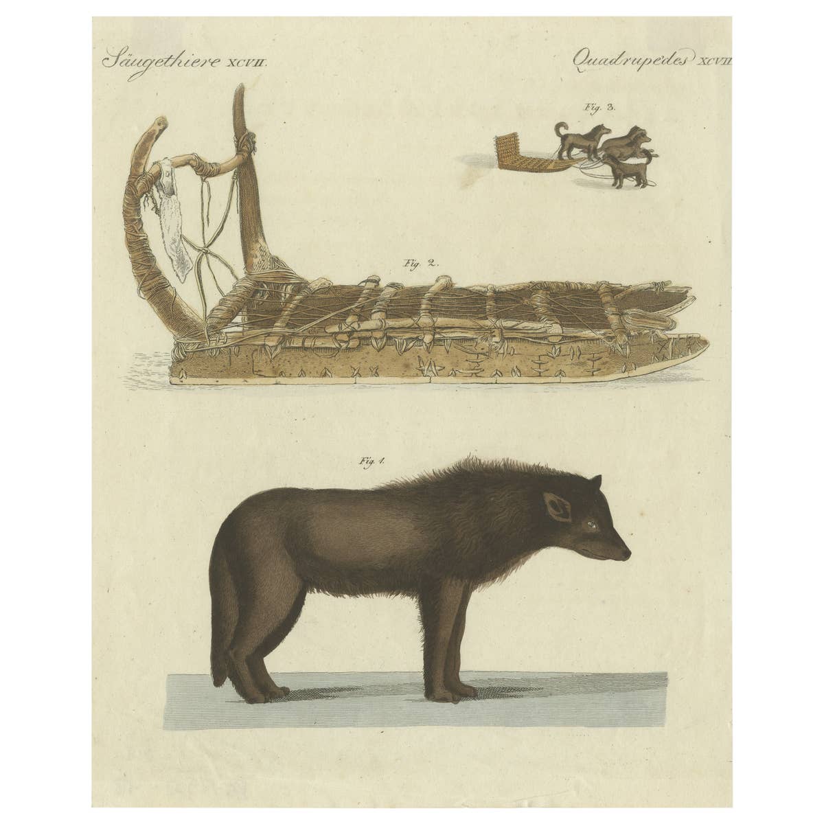 Antique Print of a Dog from Baffin Bay Greenland and a Dog Sled, ca.1800