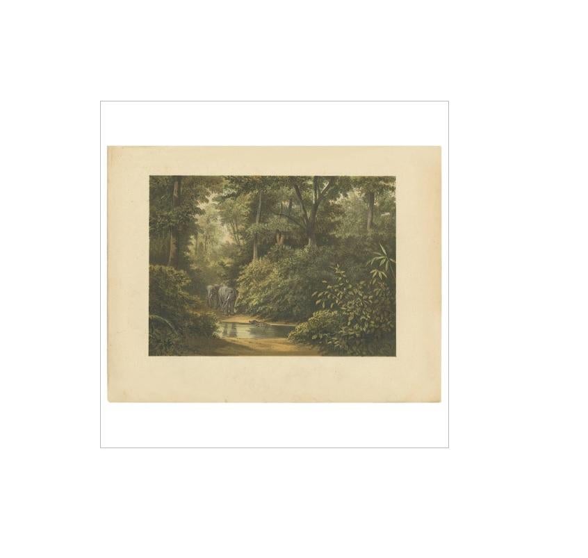 Impression ancienne d'une forêt et d'éléphants en Indonésie. Cette gravure provient de 