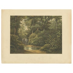 Antiker antiker Druck eines Waldes und Elefanten in Indonesien von M.T.H. Perelaer, 1888