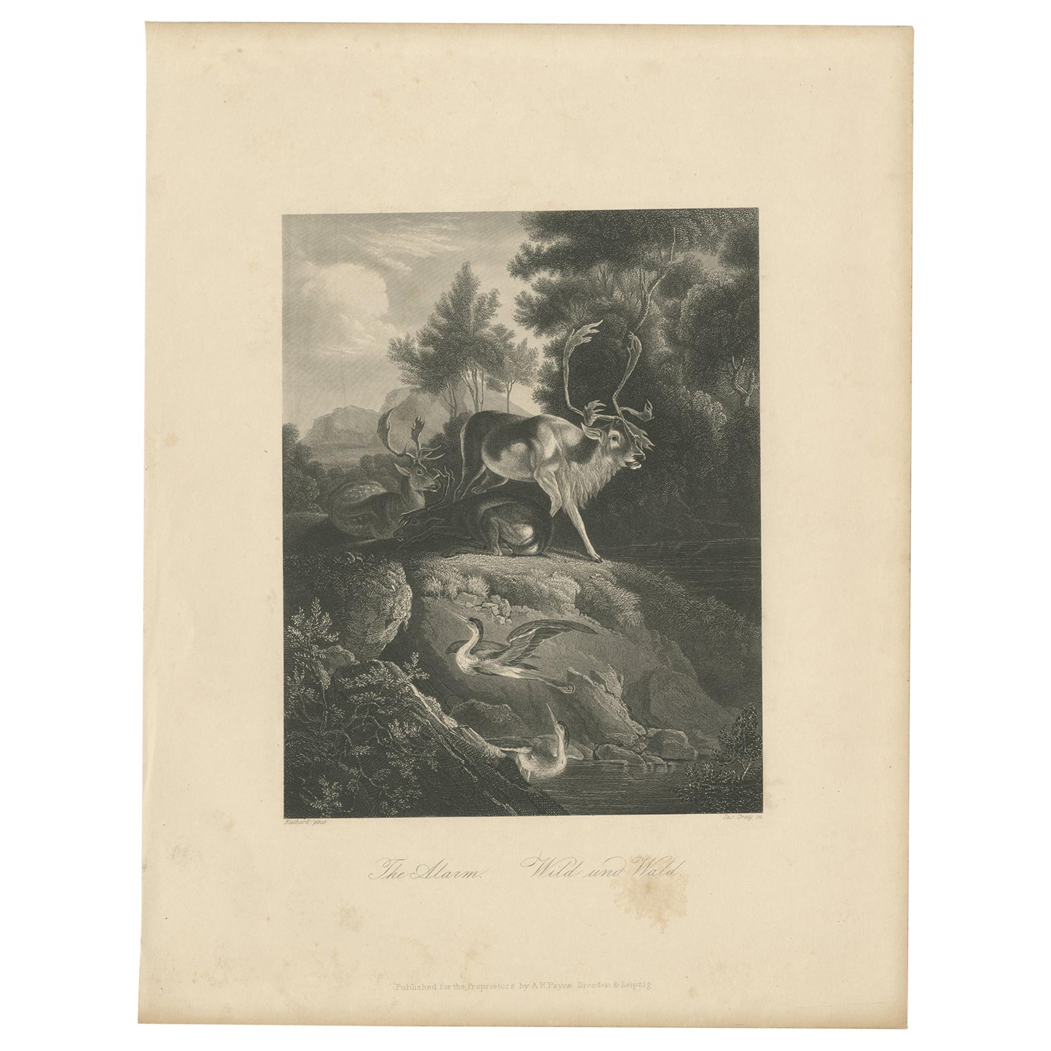 Antique Print of a Forest Scene by Payne 'c.1860' For Sale