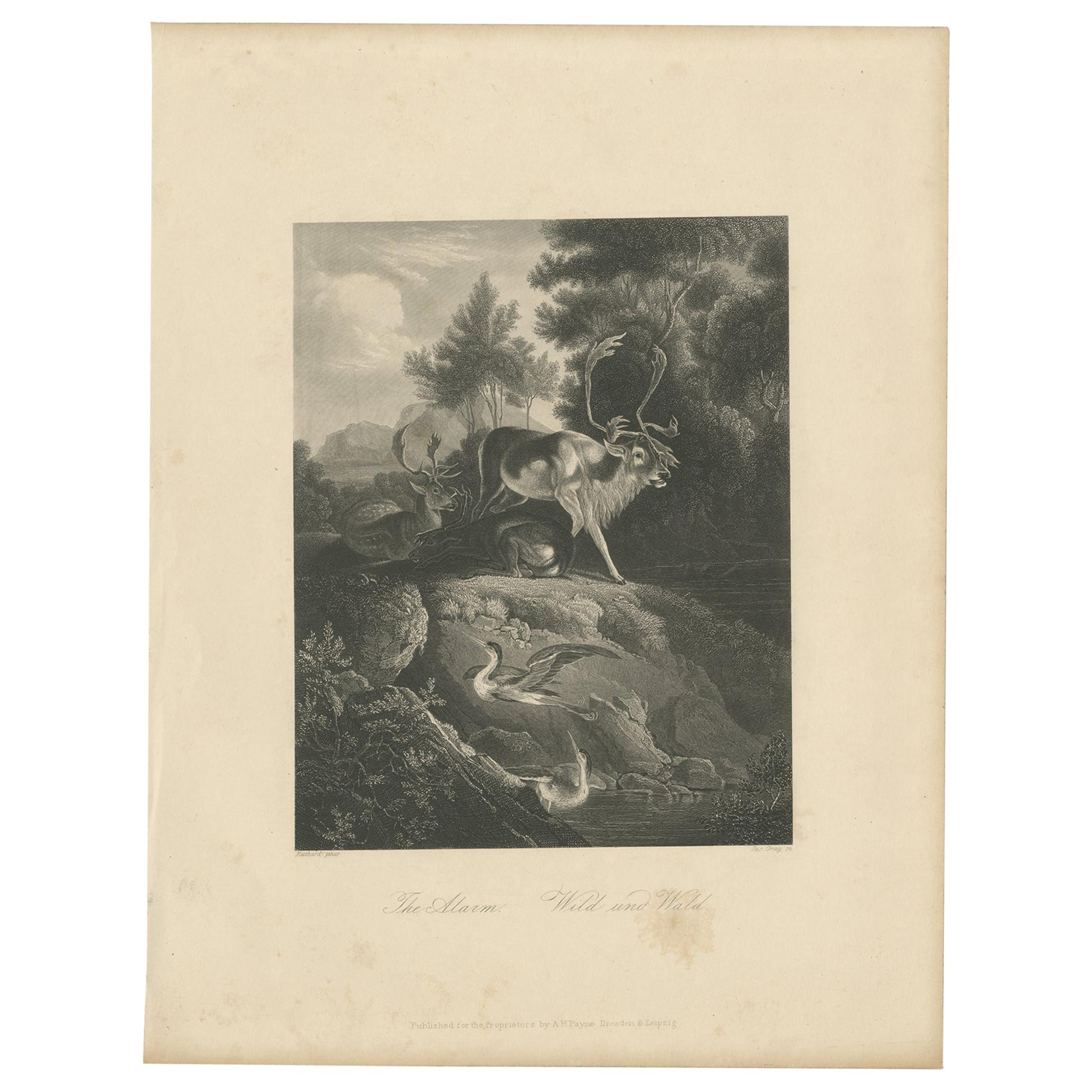 Grabado antiguo de una escena de bosque por Payne 'c.1860'