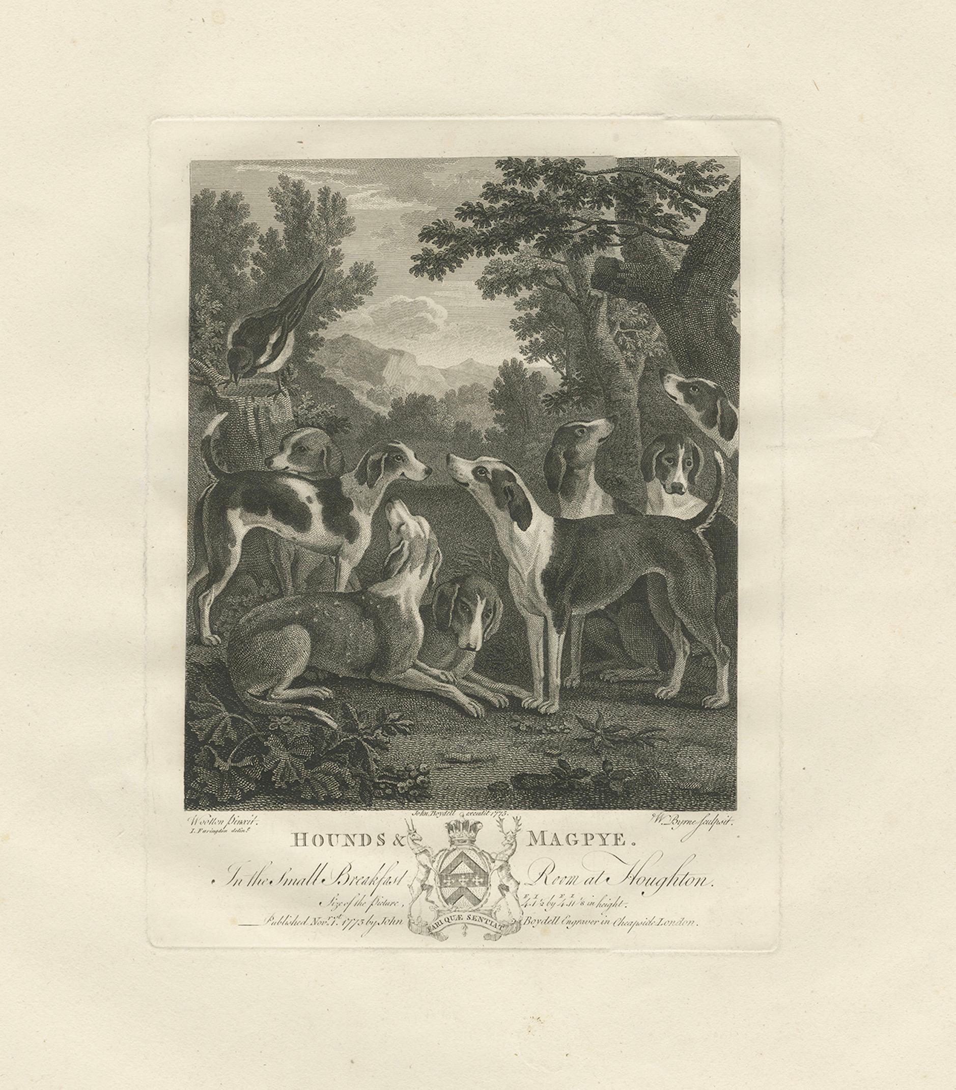 Hounds & Magpye Antique Engraving, English Sporting Art, 1775
