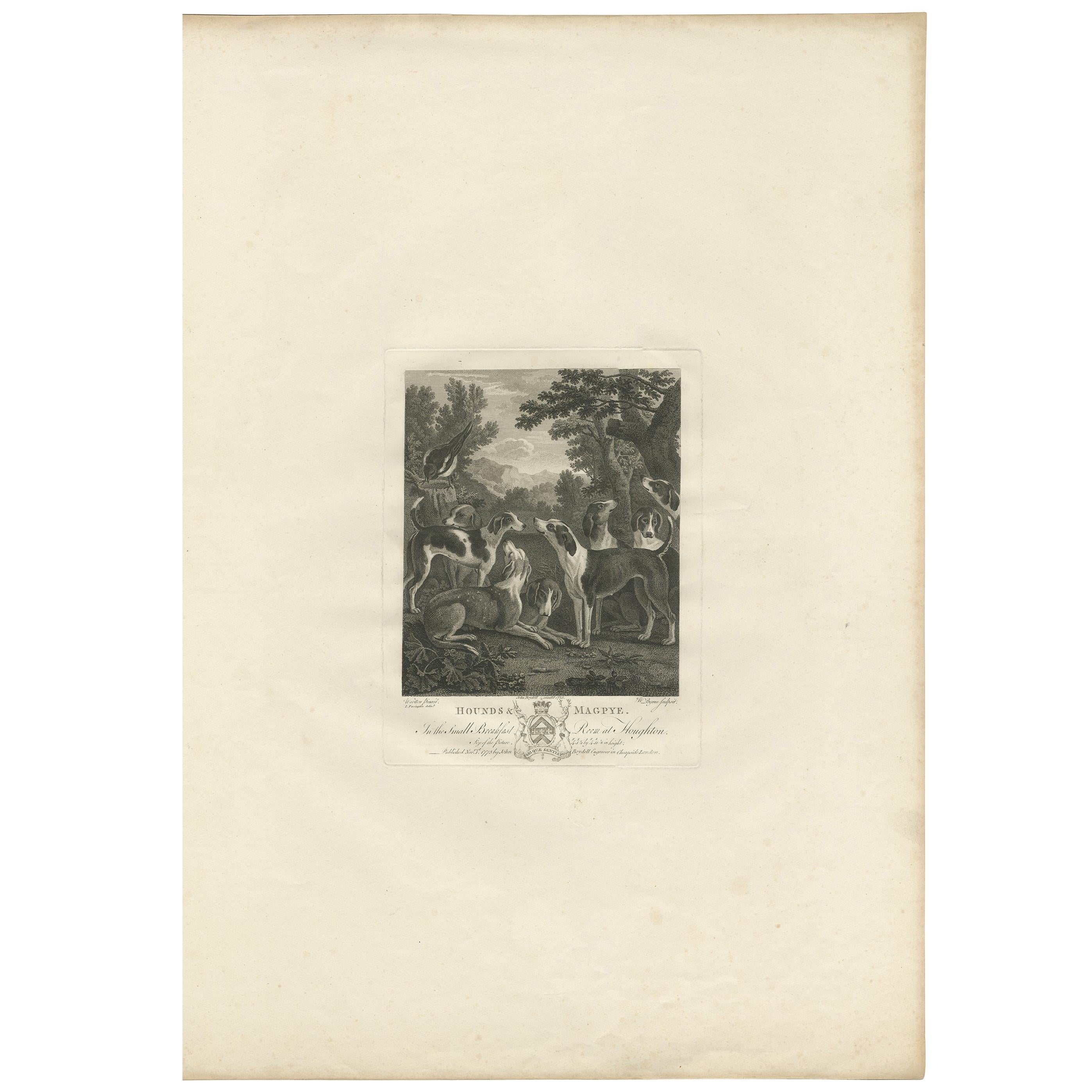 Antique Print of a Group of Hounds Looking Up at a Magpie by Boydell '1775'