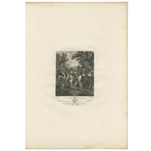 Hounds & Magpye Antique Engraving, English Sporting Art, 1775