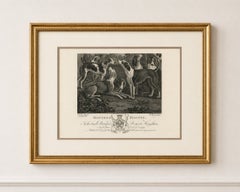 Hounds & Magpye Antique Engraving, English Sporting Art, 1775