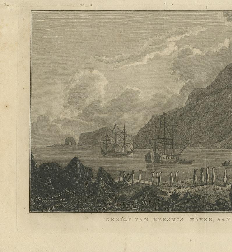 Antique Print of The Kerguelen Islands or the Desolation Islands by Cook, 1803 In Good Condition In Langweer, NL