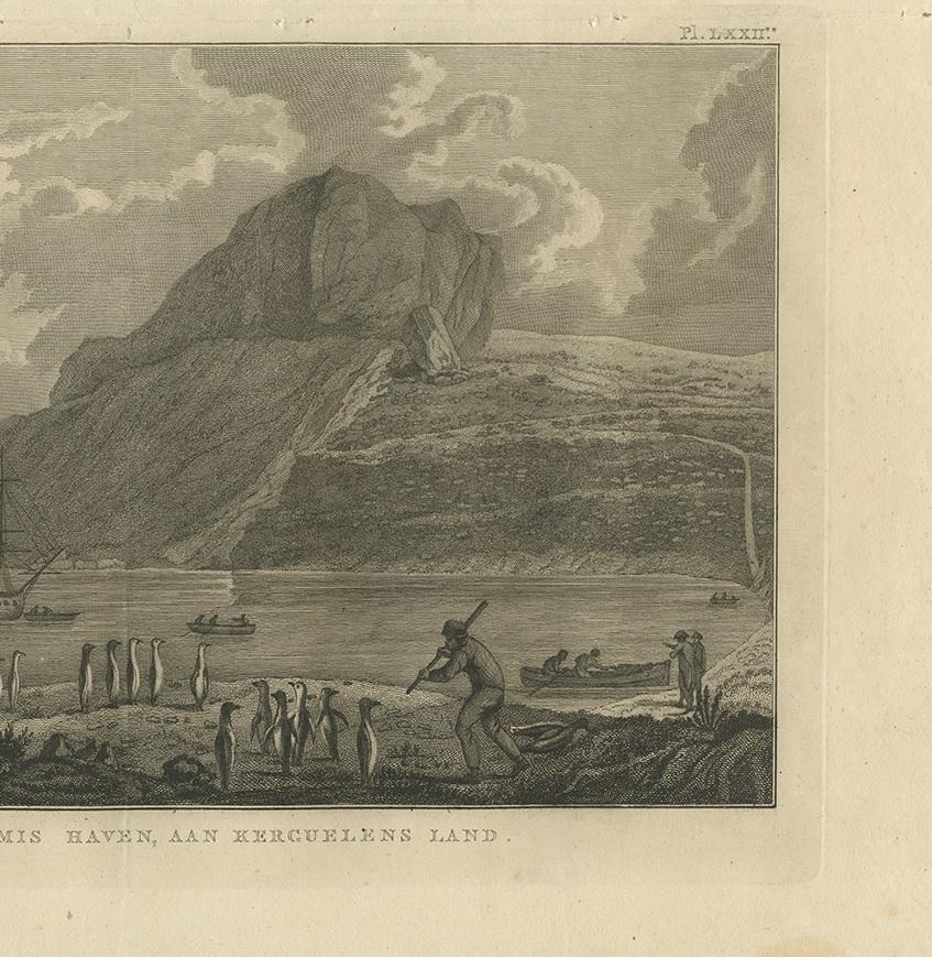 19th Century Antique Print of The Kerguelen Islands or the Desolation Islands by Cook, 1803