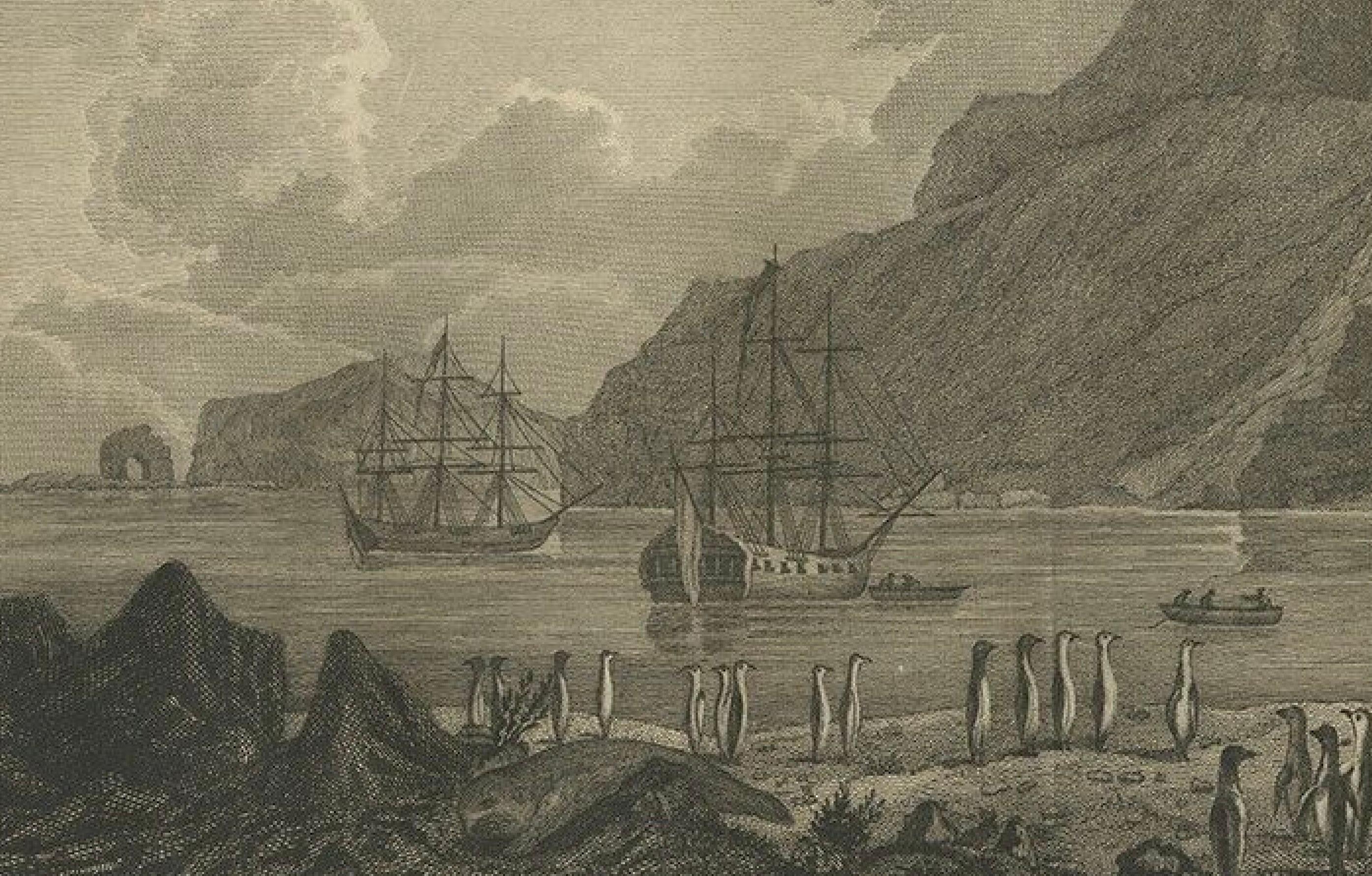 Paper Antique Print of The Kerguelen Islands or the Desolation Islands by Cook, 1803