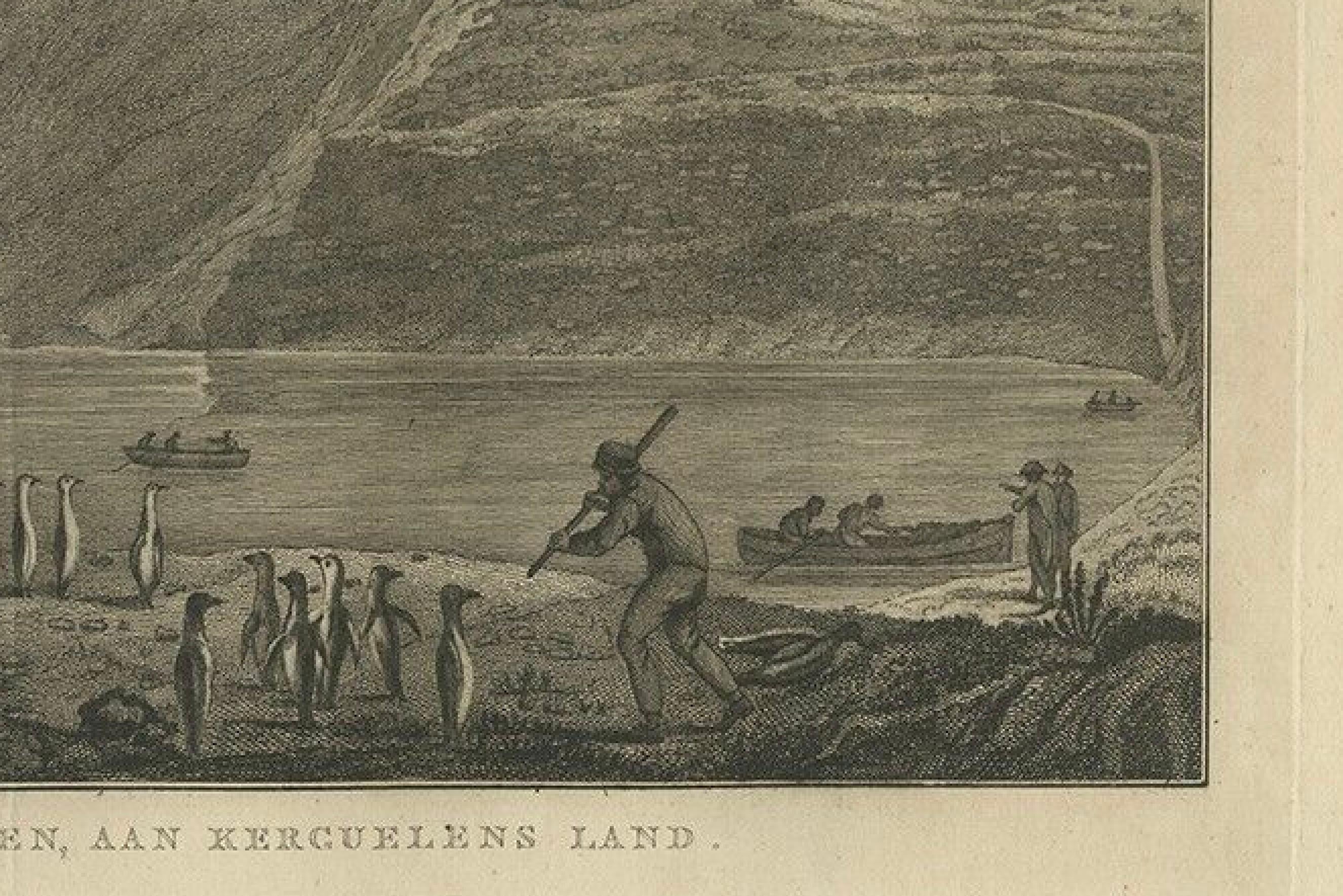 Antique Print of The Kerguelen Islands or the Desolation Islands by Cook, 1803 1