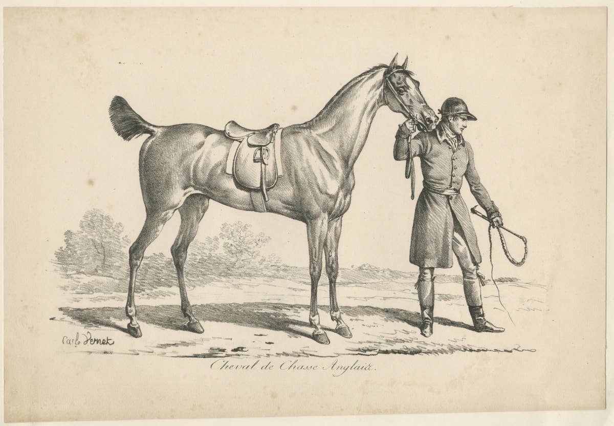 Antique Print of a Horse used for Hunting in England