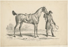 Antique Print of a Horse used for Hunting in England