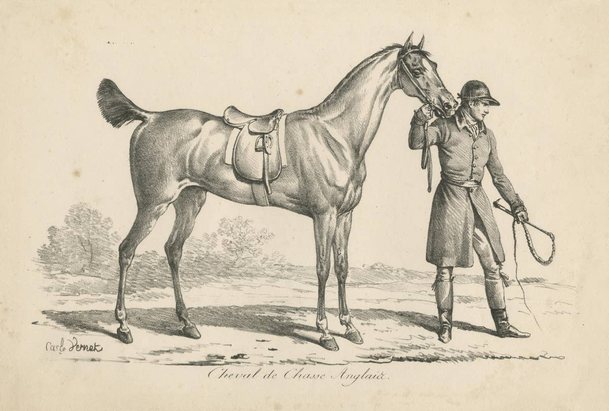 Antique Print of a Horse used for Hunting in England