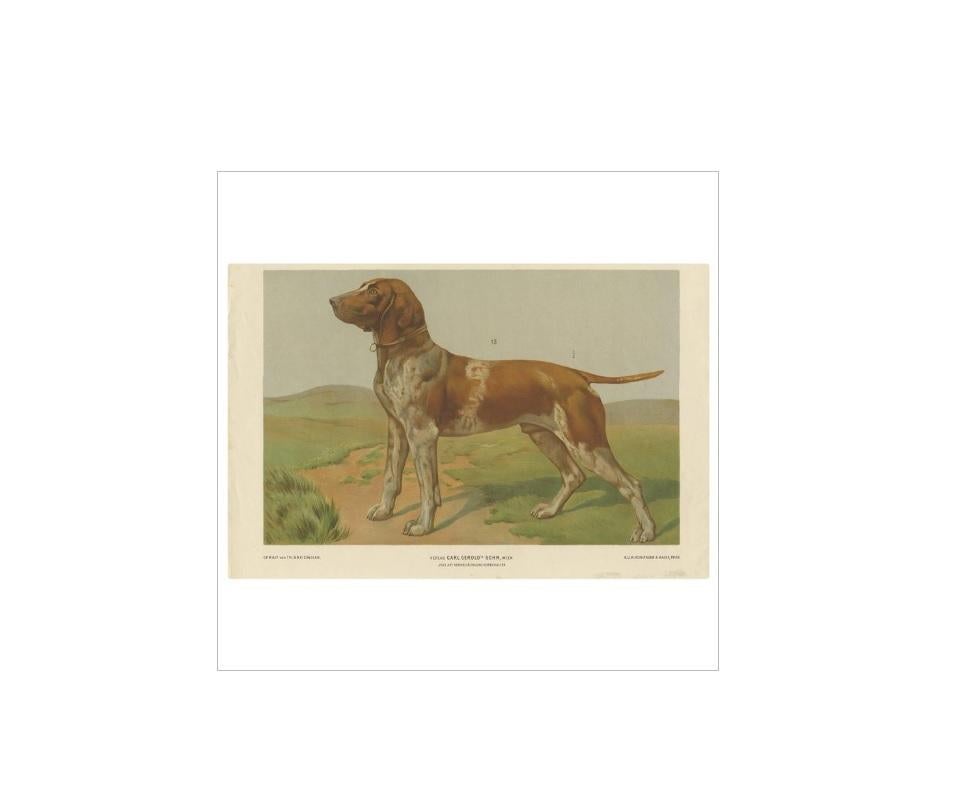 Impression ancienne d'un chien de chasse par Th. Breidwiser, 1879 Bon état - En vente à Langweer, NL