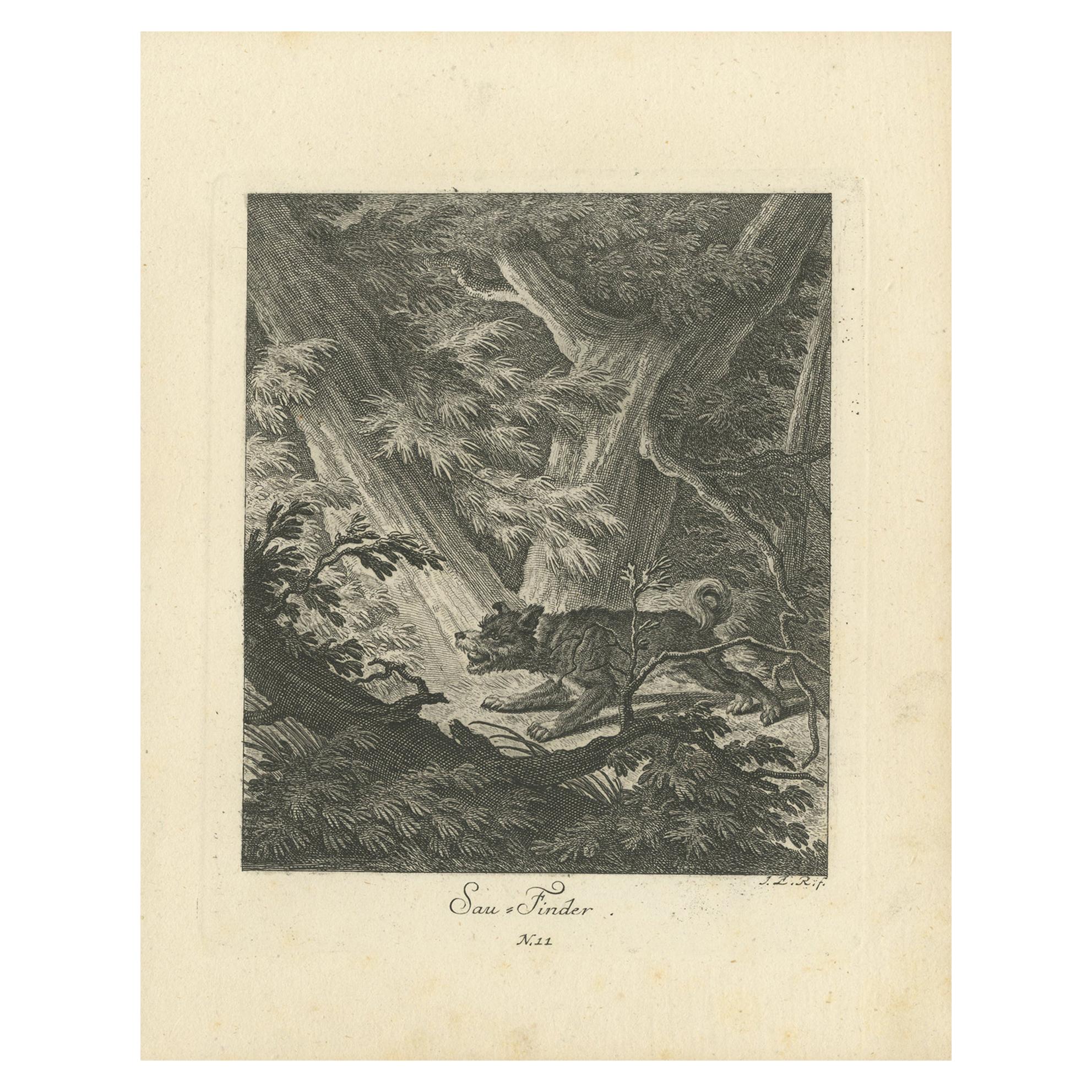 Antique Print of a Hunting Dog in the Forest by Ridinger 'c.1760' For Sale