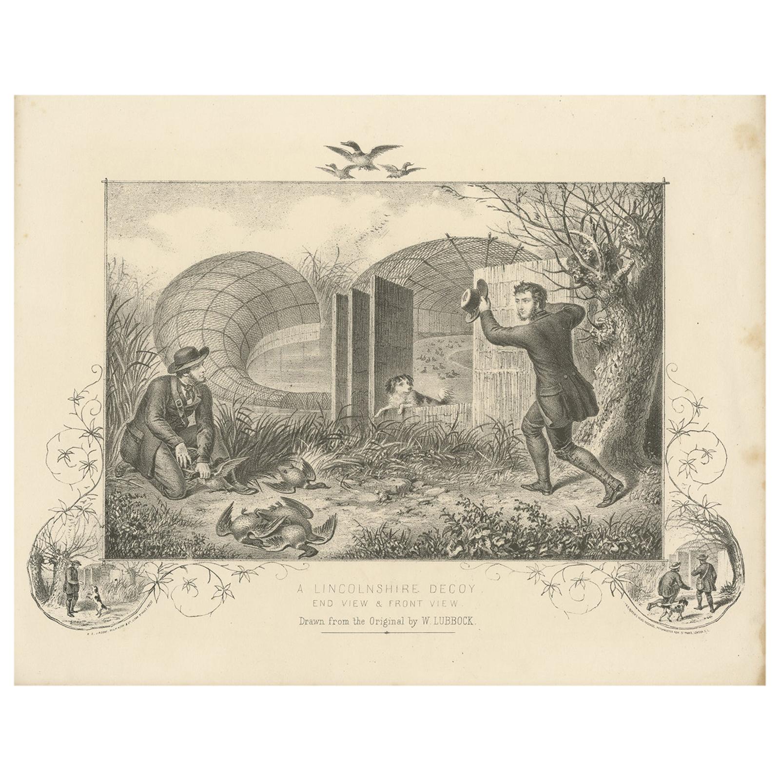 Antique Print of a Lincolnshire Duck Decoy Made after Lubbock 'c.1860' For Sale