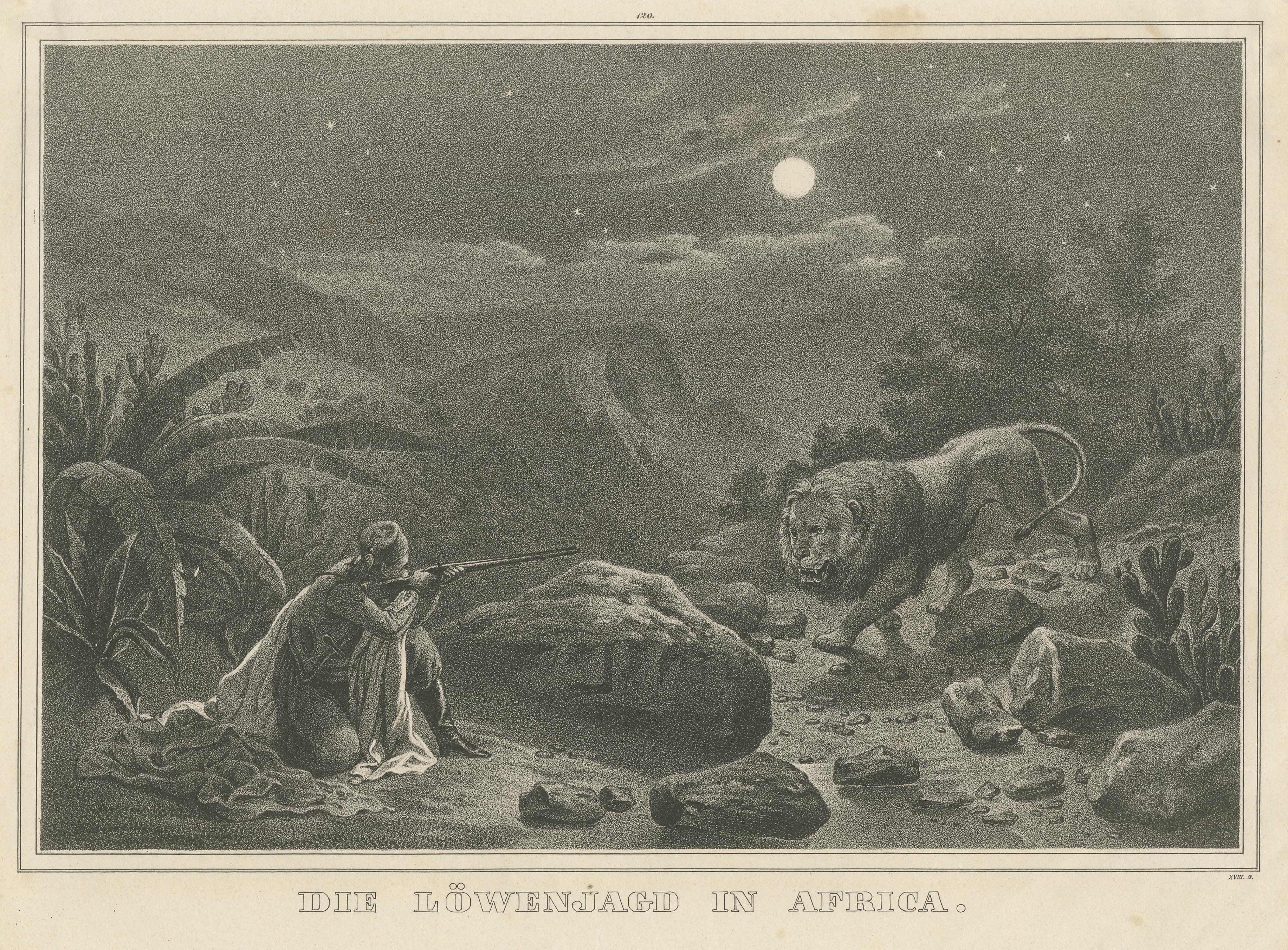 Antique Print of a Lion Hunt in Africa In Fair Condition For Sale In Langweer, NL