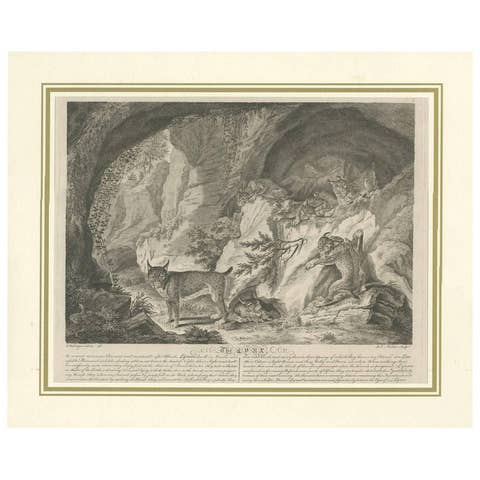 Antique Print of a Lynx by J.S. Müller, 1794