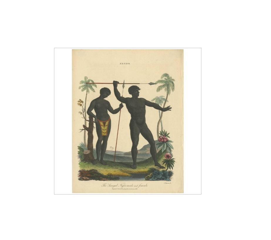 Antique print titled 'The Senegal Negro, male and female'. Engraved for the Encyclopaedia Londinensis, 1818.