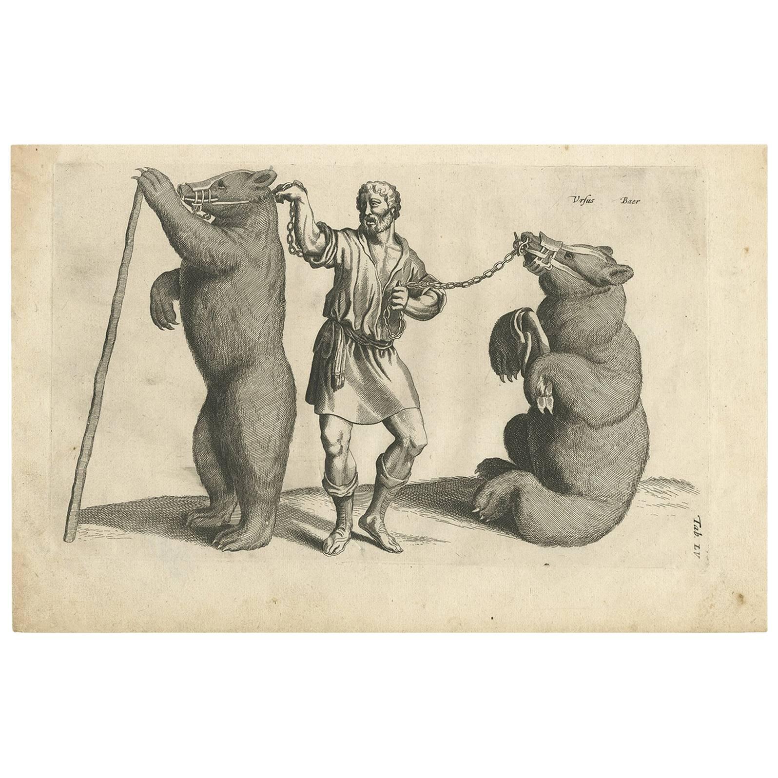 Impression ancienne d'un homme avec deux ours par J. Jonston, 1657 en vente