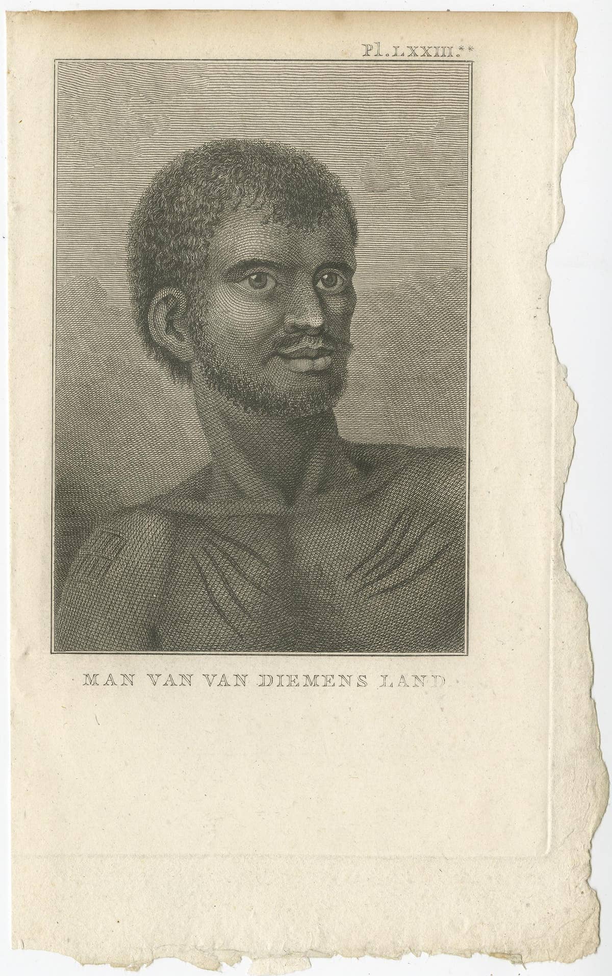 Antique Print of a Native Aboriginal of Van Dieman's Land, Australia, 1803