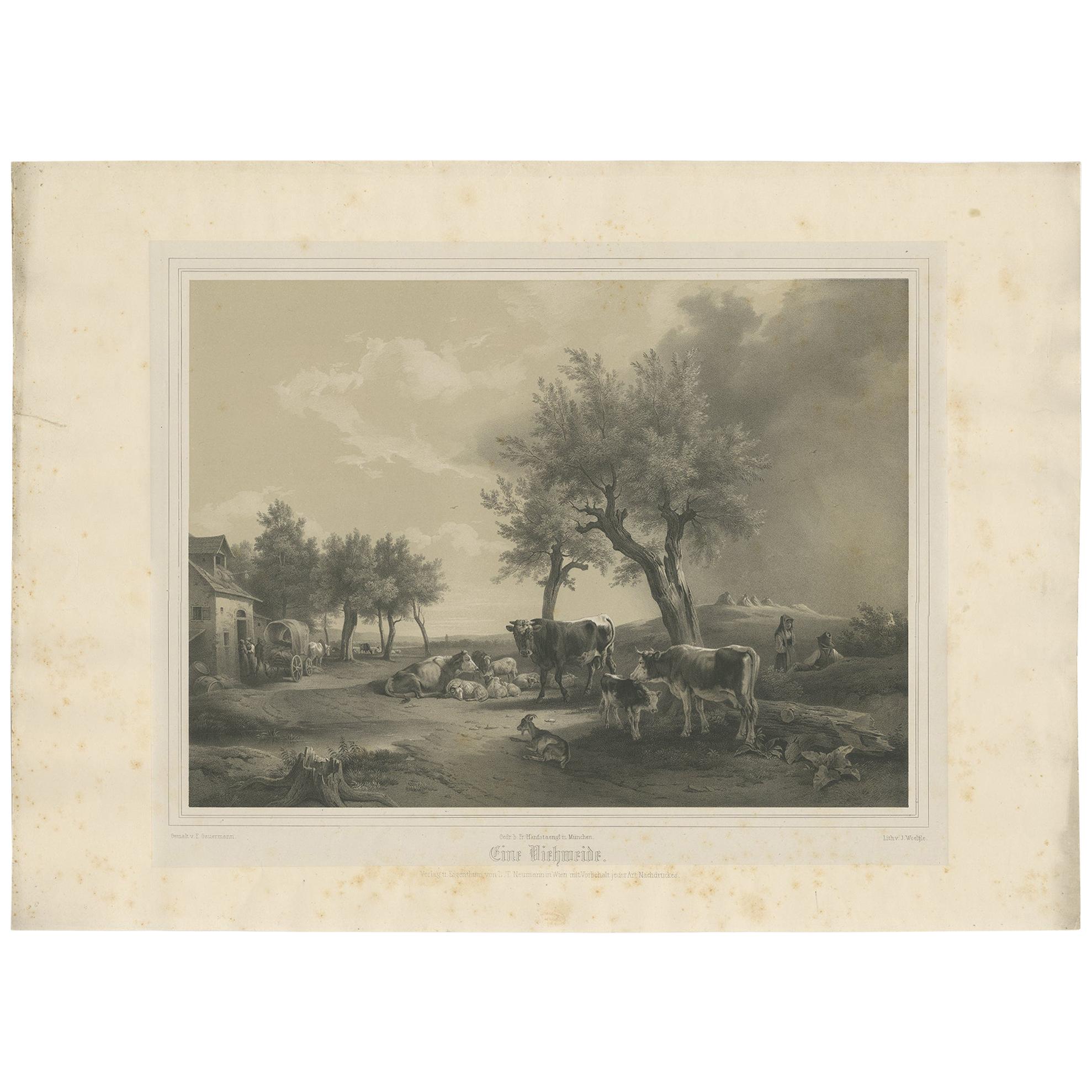 Antique Print of a Pasture with Cattle by Neumann 'c.1860' For Sale