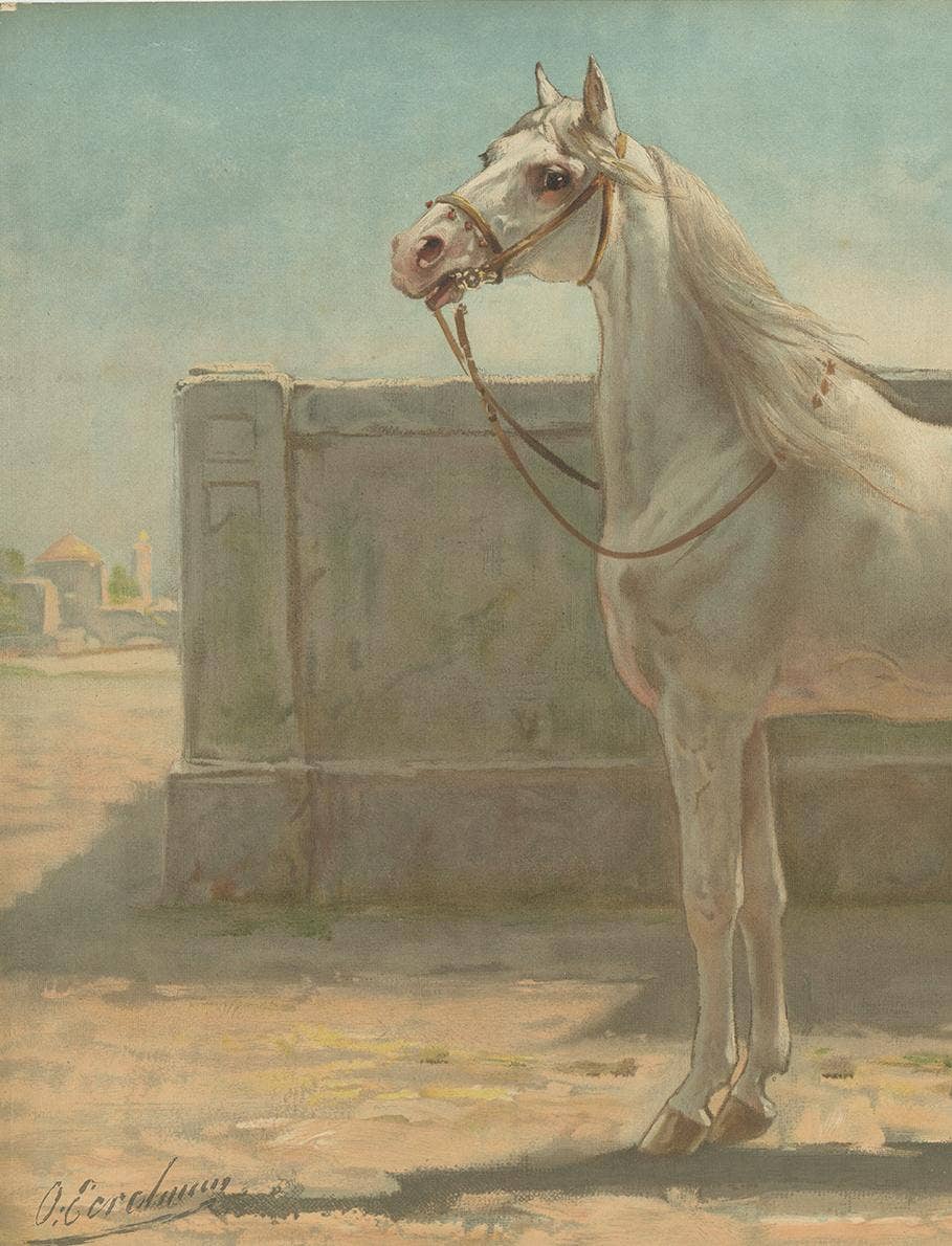 Antique Print of a Persian Horse by O. Eerelman, 1898