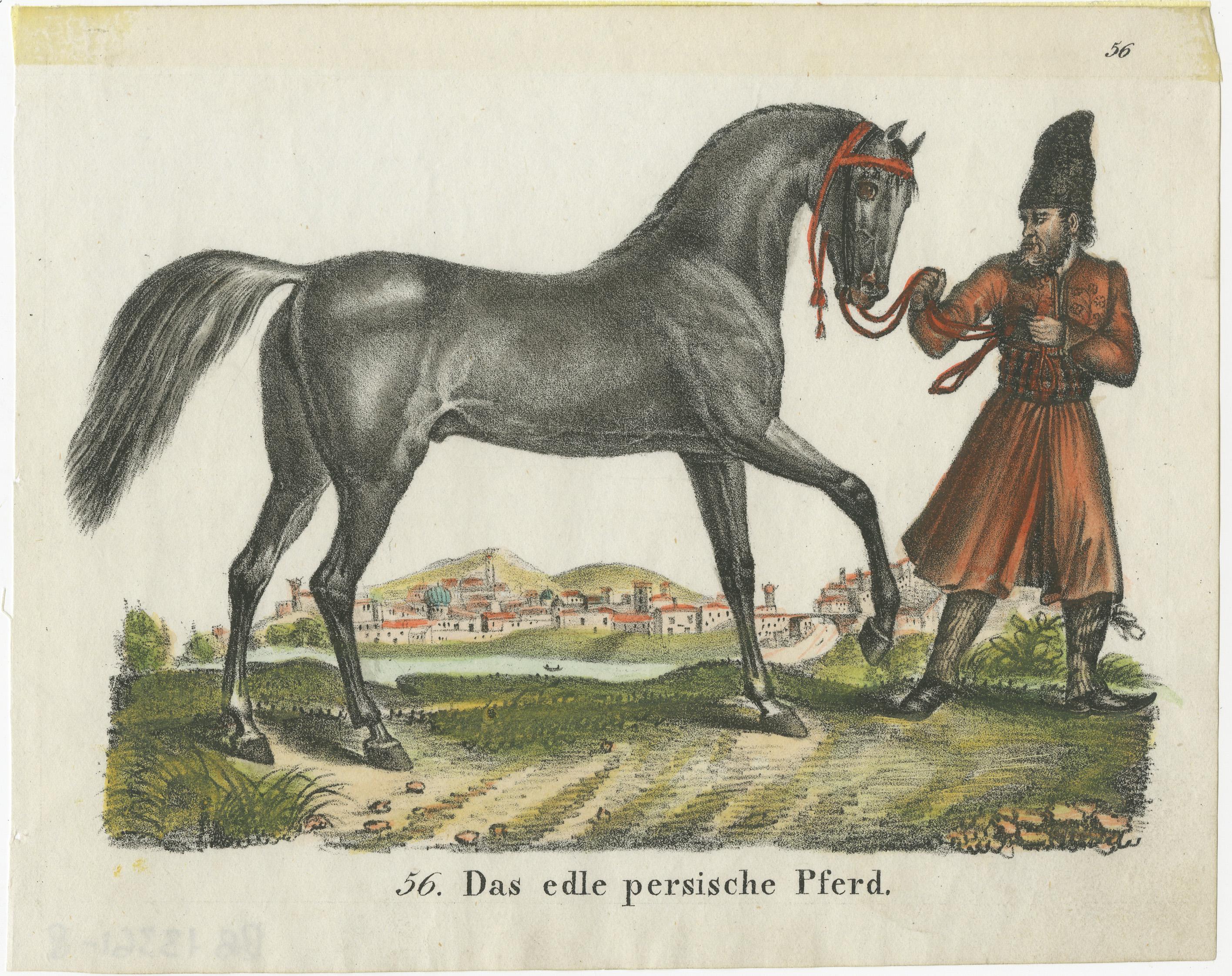 Antique print titled 'Das edle persische Pferd'. Lithograph of a Persian horse. This print originates from 'Neue Bildergallerie für die Jugend'. Published circa 1830.