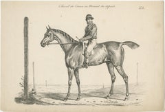 Antique Print of a Race Horse and Jockey at the Start