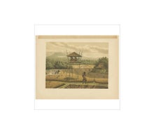 Antique Print of a Rice Field near Tempoeran by M.T.H. Perelaer, 1888