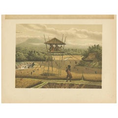 Grabado antiguo de un arrozal cerca de Tempoeran por M.T.H. Perelaer, 1888