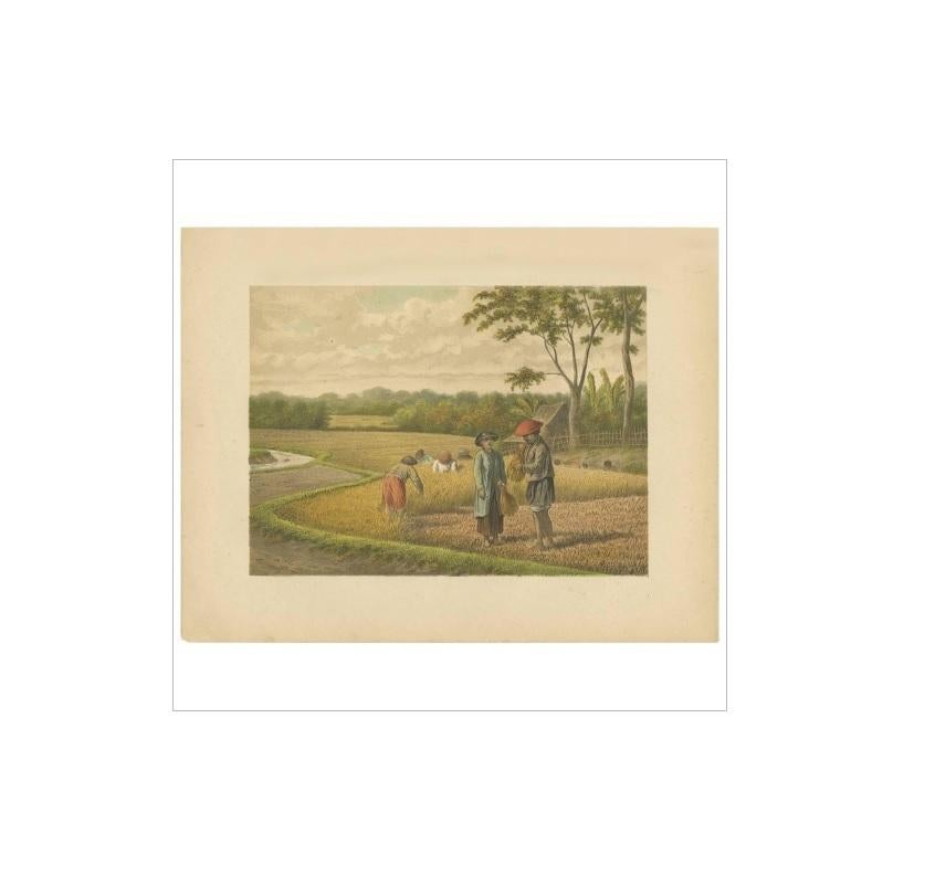Antique Print of a Rice Field on Java by M.T.H. Perelaer, 1888 In Good Condition For Sale In Langweer, NL