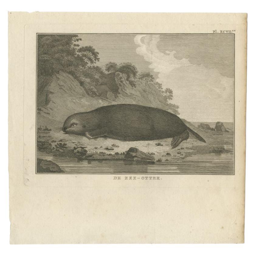 Antique animal print titled 'De Zee-Otter'. Old print depicting a Sea Otter. Originates from 'Reizen Rondom de Waereld door James Cook (..)'. 

Artists and Engravers: Translated by J.D. Pasteur. Published by Honkoop, Allart en Van Cleef.