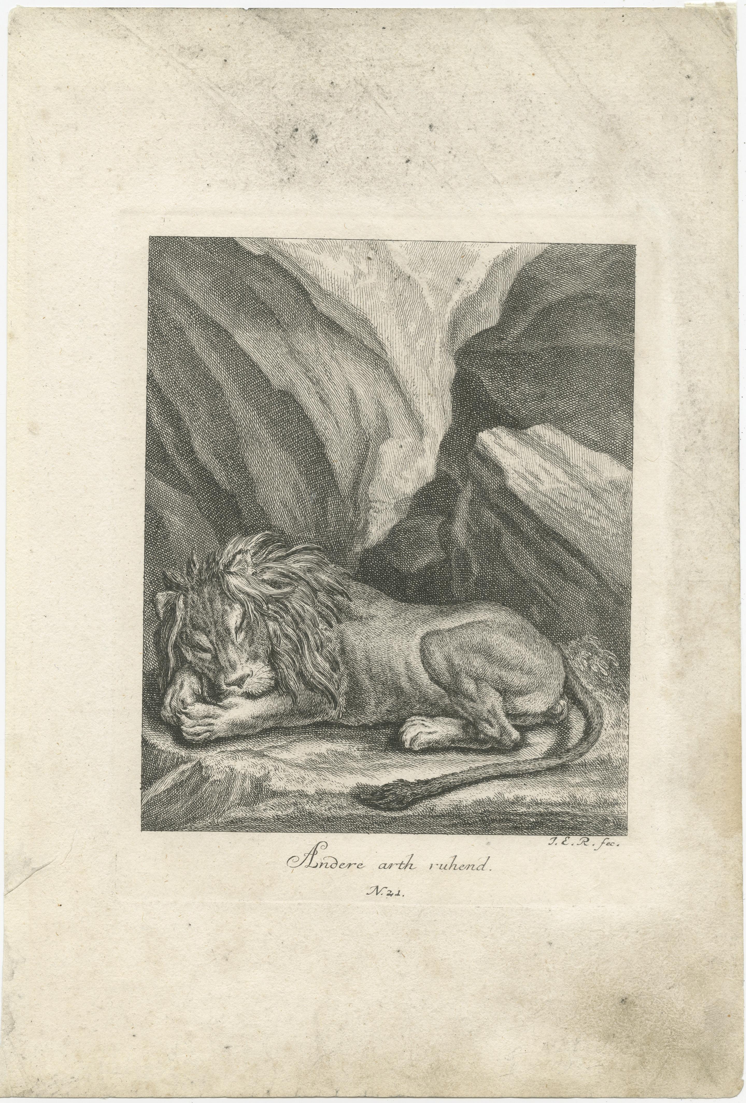 Original antique print titled 'Andere arth ruhend'. Old print of a sleeping lion in a mountainous landscape. Published by J. E. Ridinger, circa 1730. 