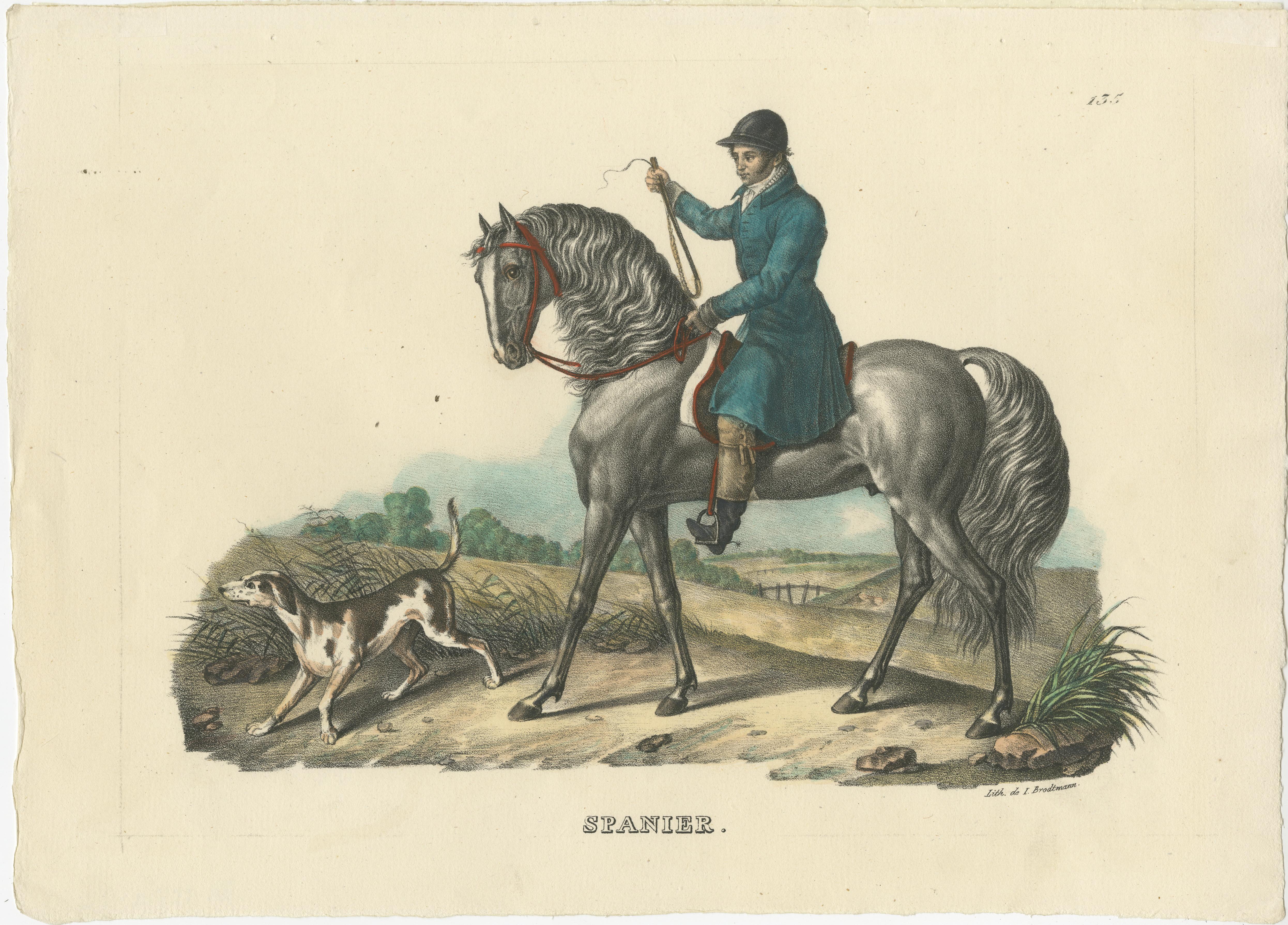 Antique print titled 'Spanier'. Original old lithograph of a Spanish horse. This print originates from 'Naturgeschichte und Abbildungen der Säugethiere: nach den neuesten Systemen zum gemeinnutzigen Gebrauche entworfen, und mit Berücksichtigung für