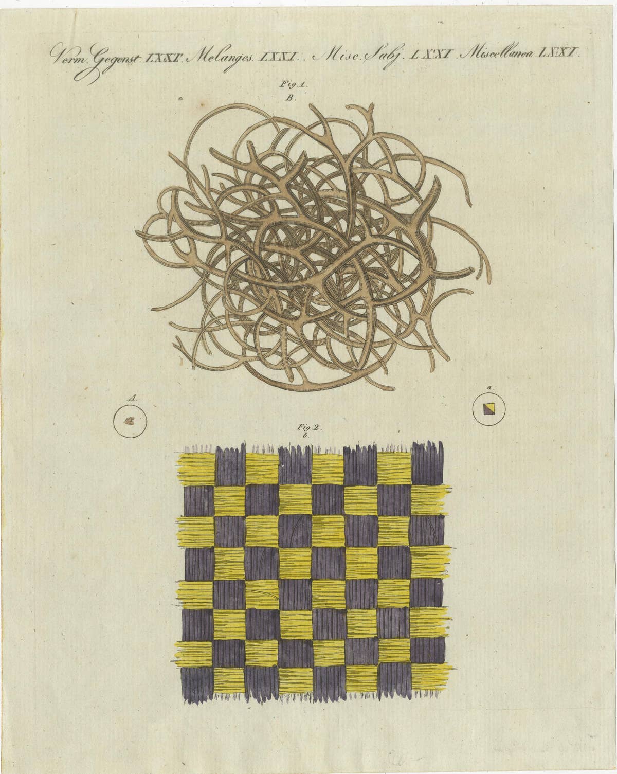 Antique Print of a Sponge and Iridescent Taffeta, Viewed Microscopically