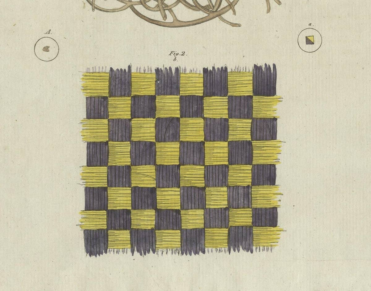 Antique Print of a Sponge and Iridescent Taffeta, Viewed Microscopically