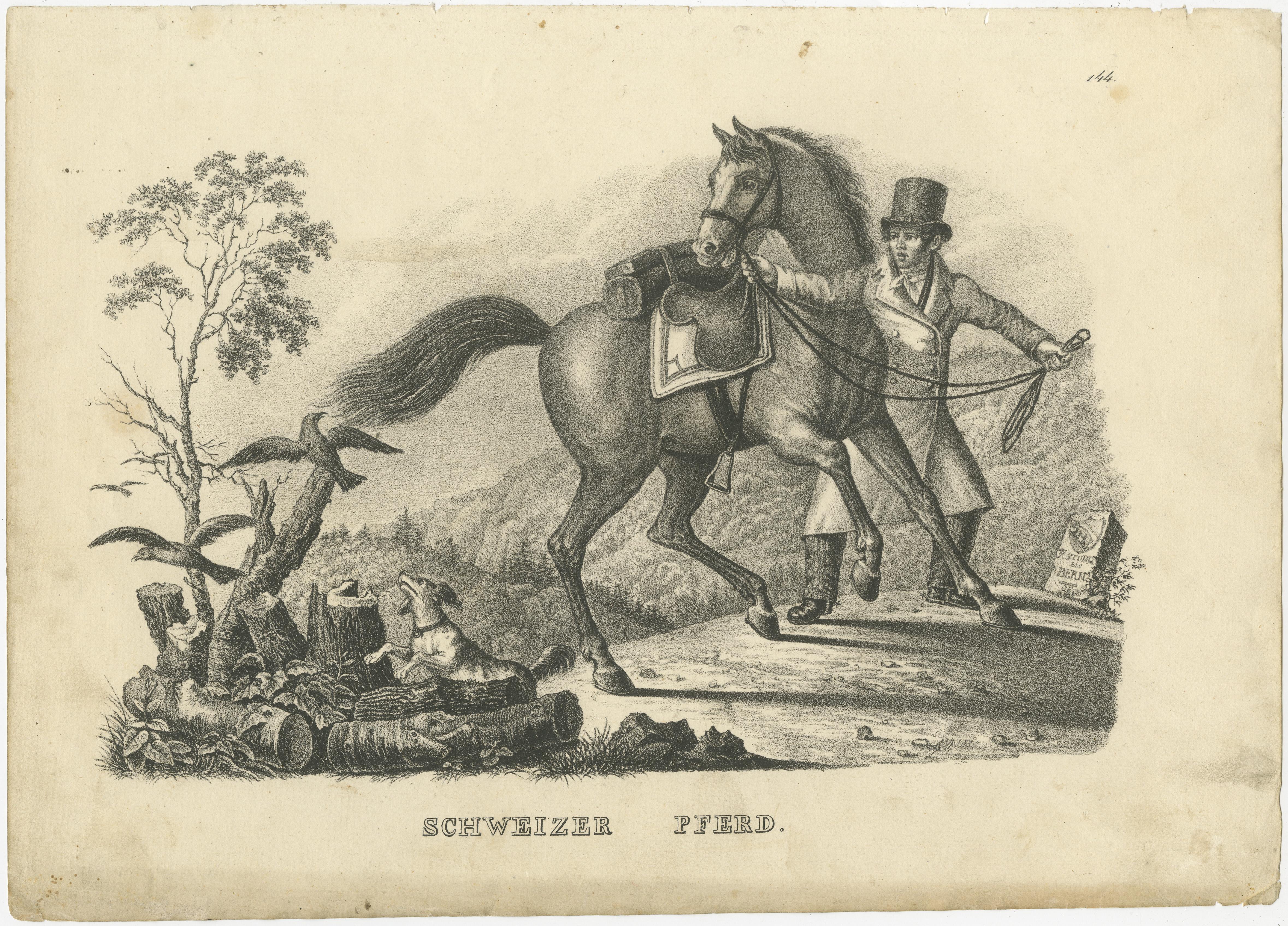 Antique print titled 'Schweizer Pferd'. Original old lithograph of a Swiss horse. This print originates from 'Naturgeschichte und Abbildungen der Säugethiere: nach den neuesten Systemen zum gemeinnutzigen Gebrauche entworfen, und mit