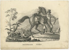 Antique Print of a Swiss Horse