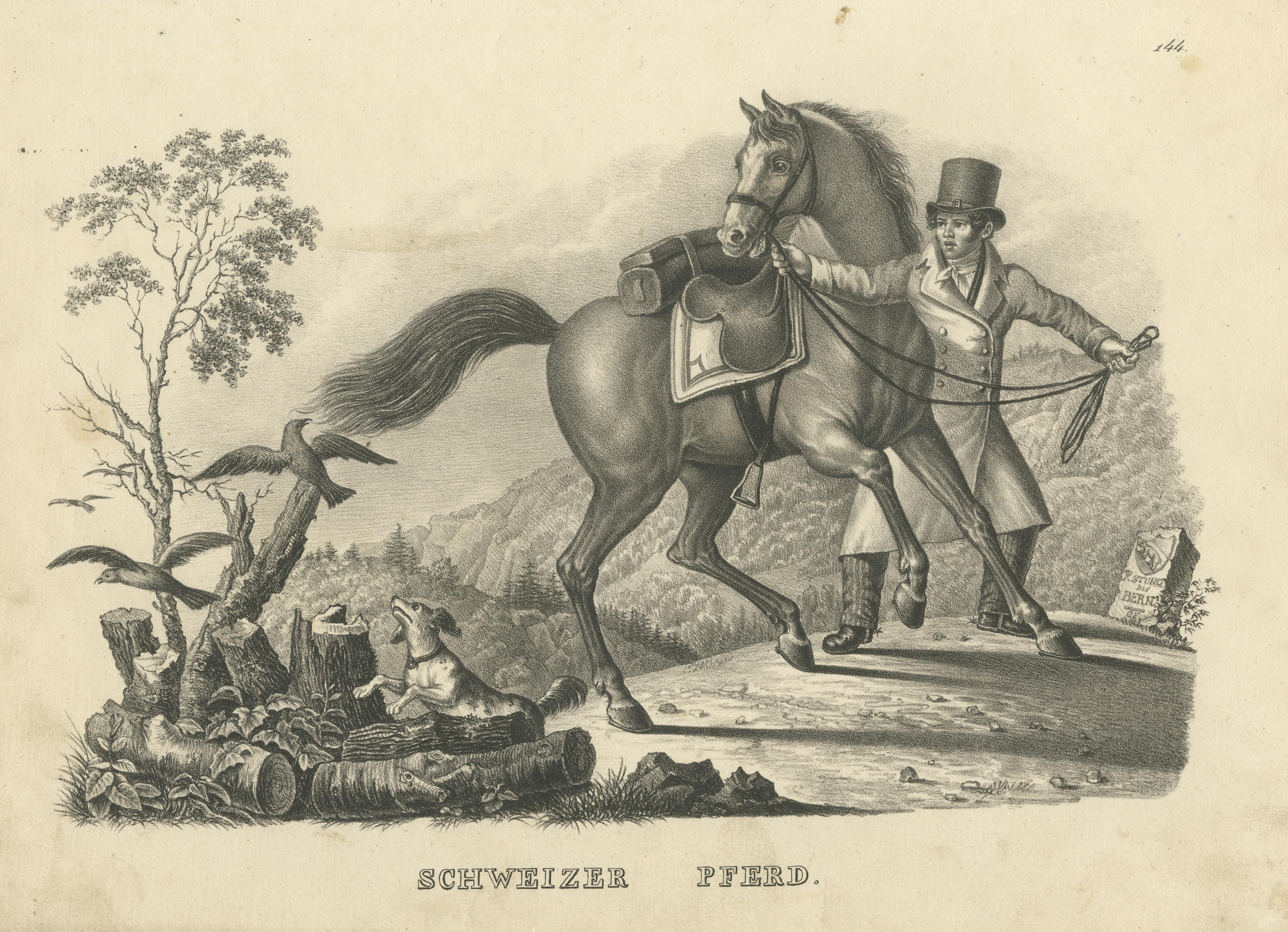 Antique Print of a Swiss Horse In Fair Condition For Sale In Langweer, NL