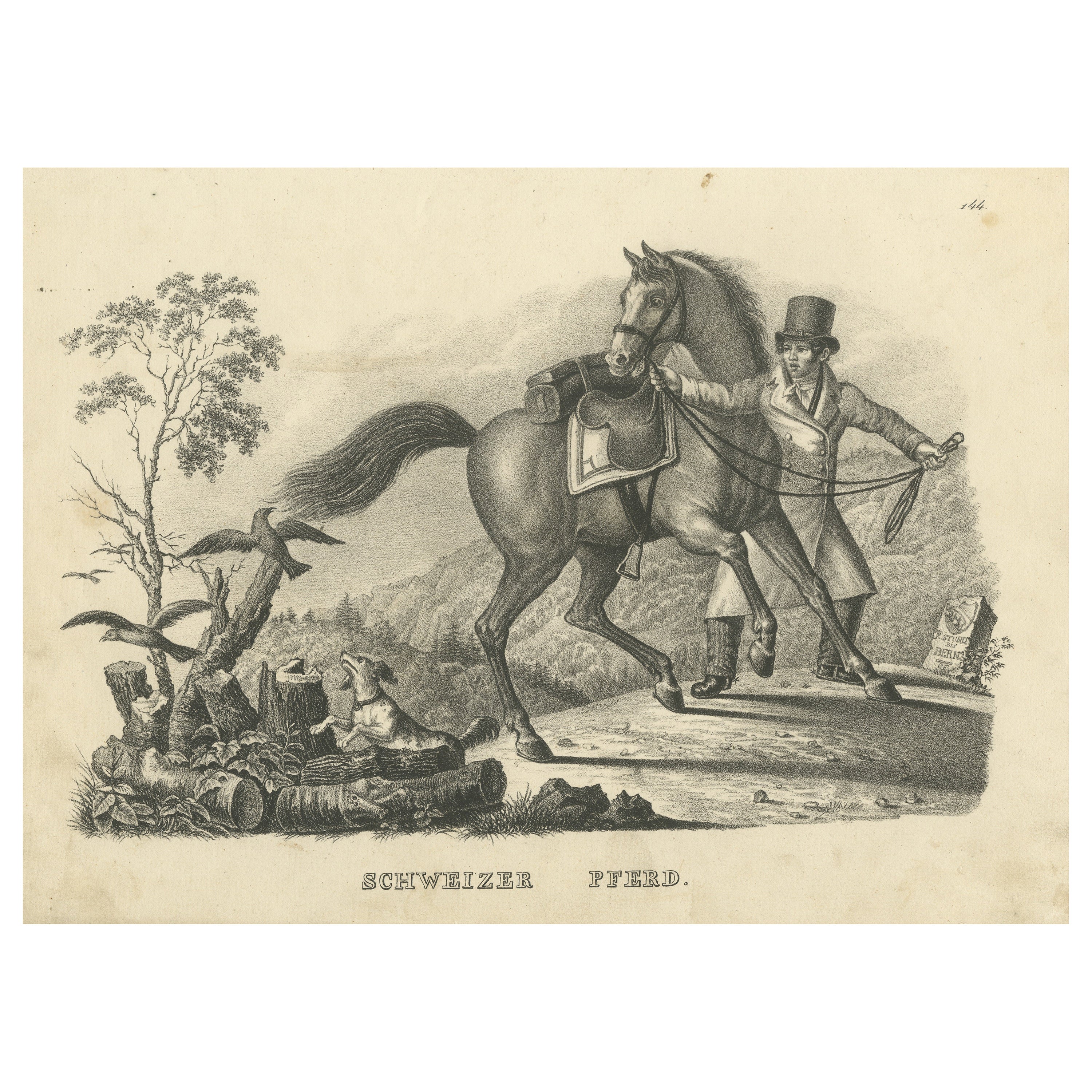 Antique Print of a Swiss Horse For Sale