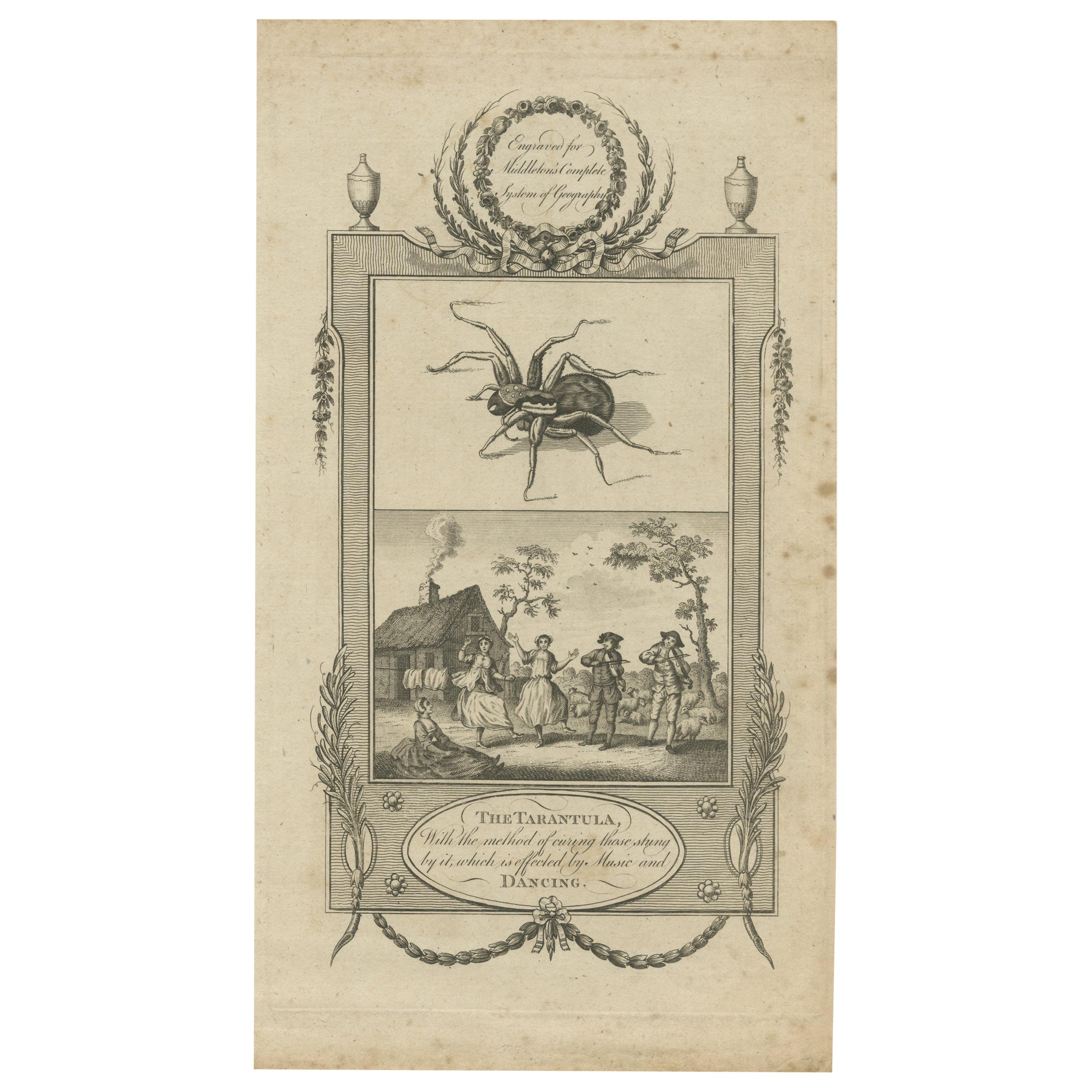 Impression ancienne d'un Tarantula et de figures dansantes par Middleton, vers 1780