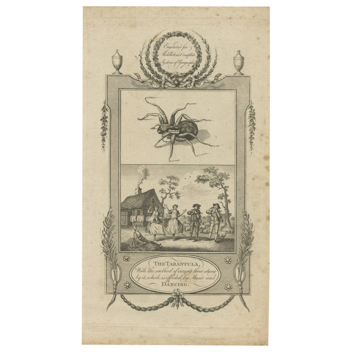 Antique Print of a Tarantula and Dancing Figures by Middleton c.1780