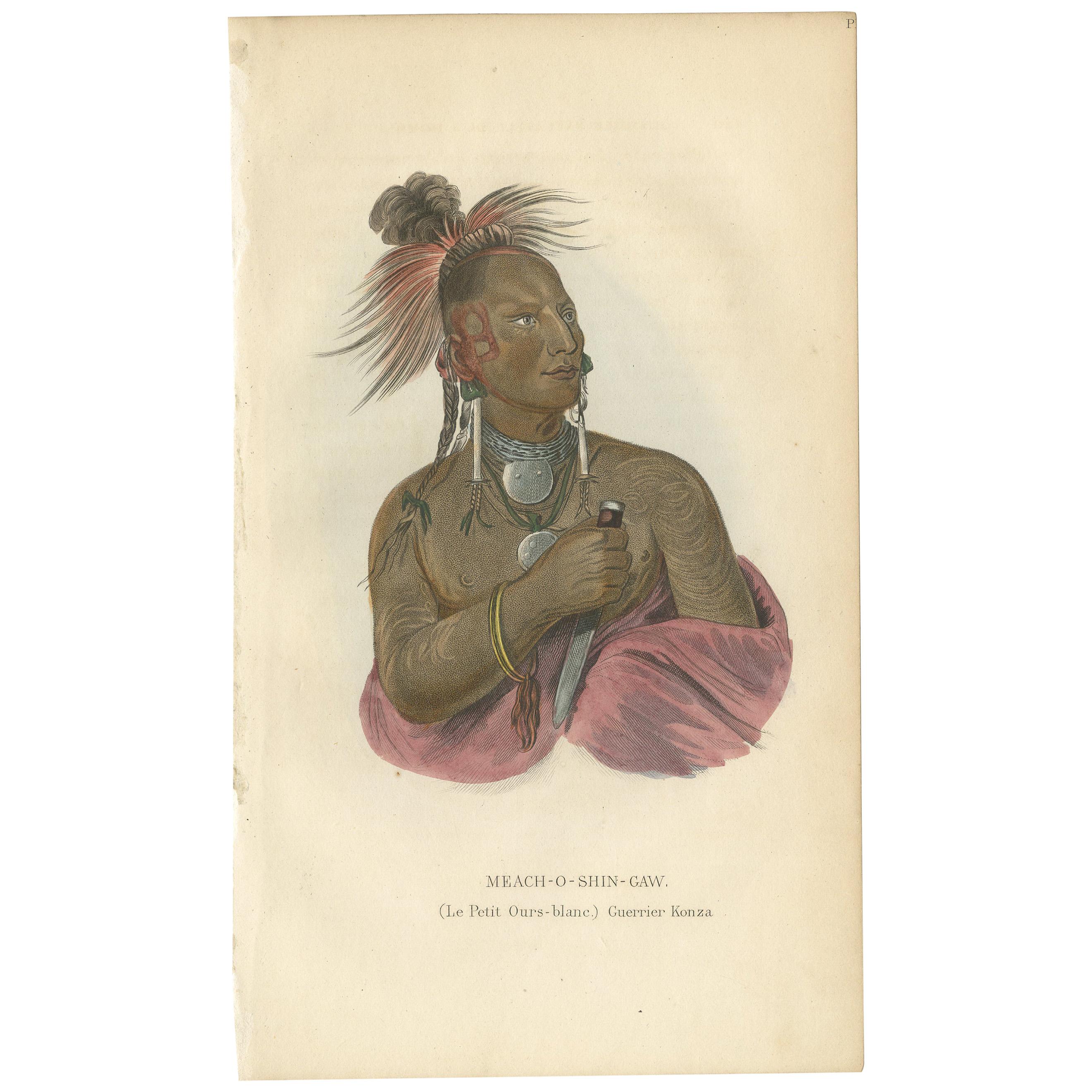 Impression ancienne d'un guerrier de la nation Kaw par Prichard '1843' en vente